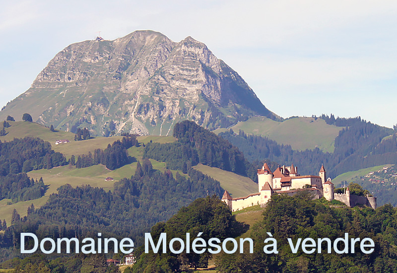 Moléson 1 Moléson - Le Moléson, la montage de La Gruyère